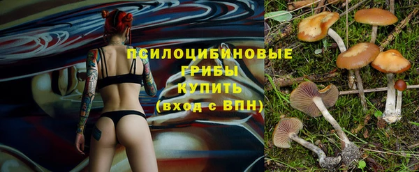 а пвп мука Балахна